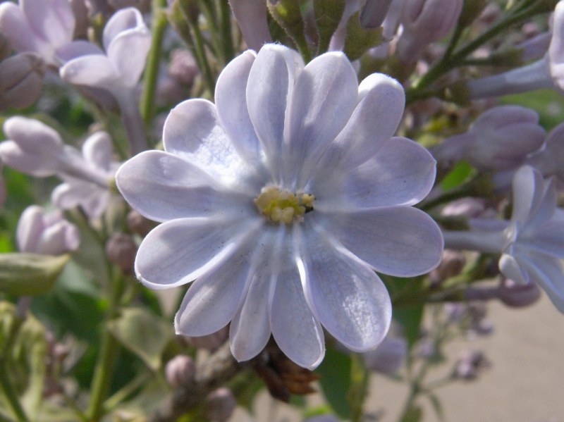 c0183777_17101140.jpg