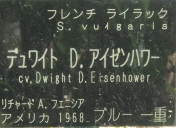 c0183777_1742985.jpg