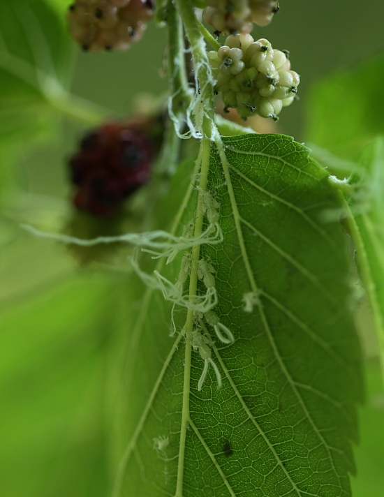 e0249878_2320258.jpg
