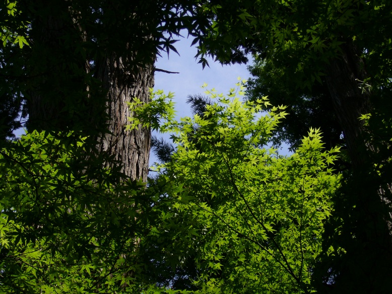 c0198781_703533.jpg