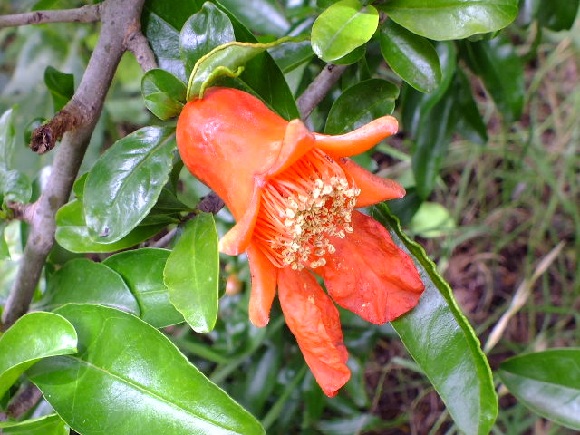 e0145782_201045100.jpg