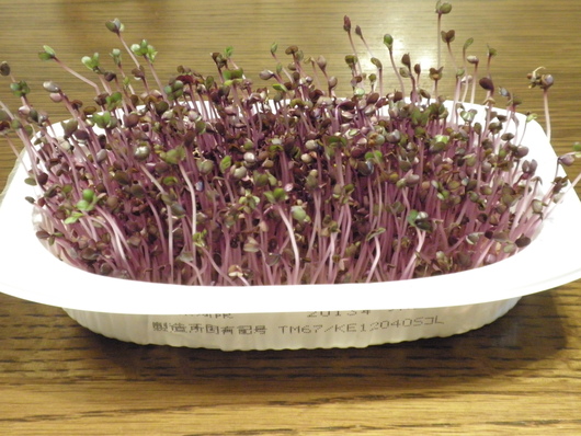 c0281888_962047.jpg