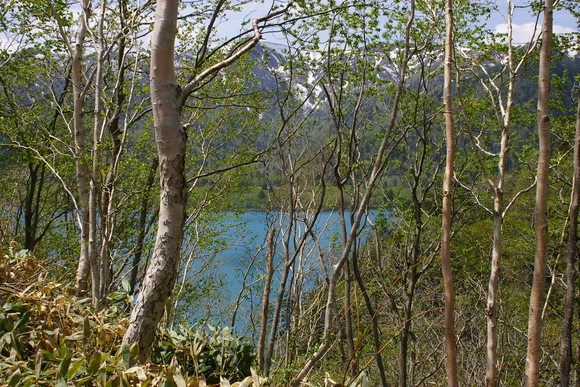 b0271789_18503447.jpg