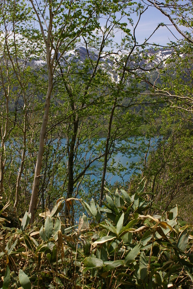 b0271789_1851587.jpg