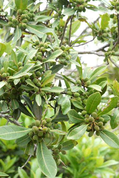 f0222692_165647.jpg