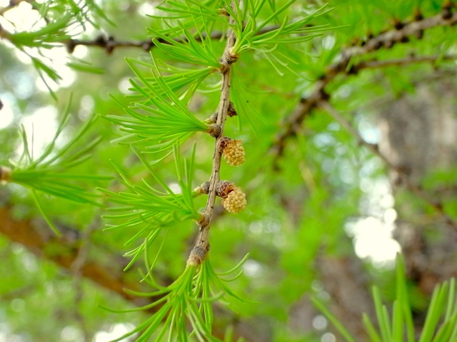 e0250594_1234675.jpg