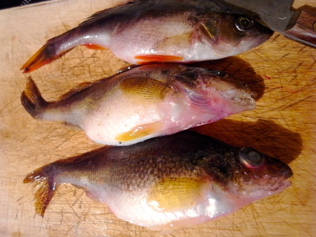 e0250594_211541.jpg