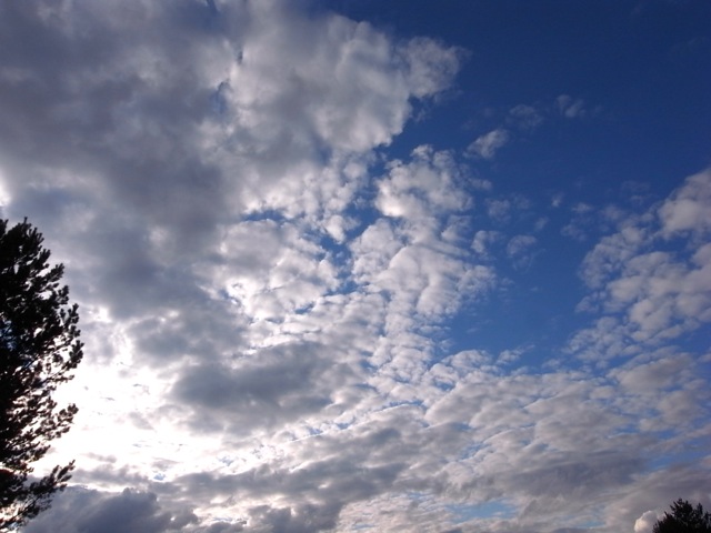 e0250594_264766.jpg