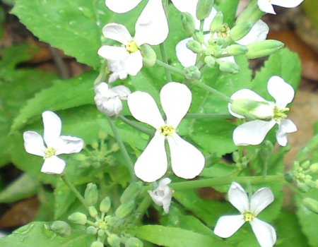 a0031000_21334911.jpg