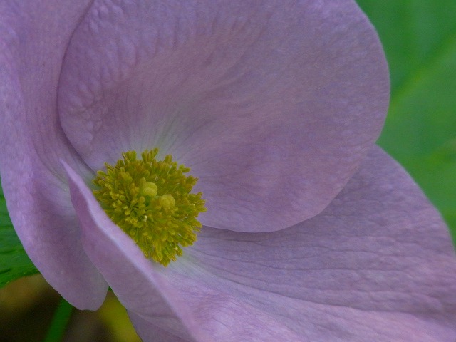 f0157901_11573380.jpg