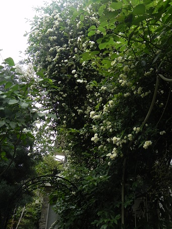 c0152002_1118446.jpg