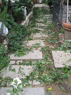 c0152002_11191157.jpg