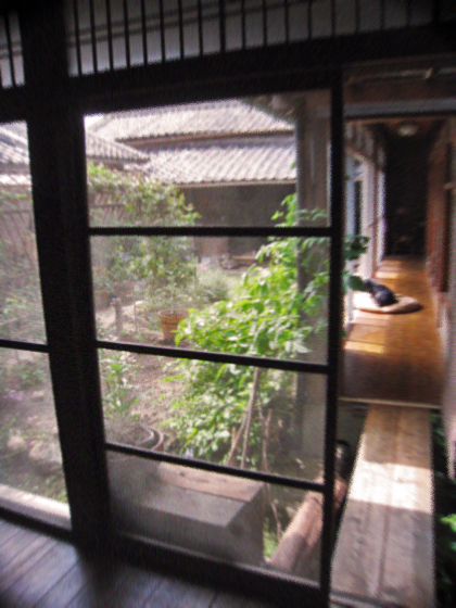 d0077603_10482092.jpg