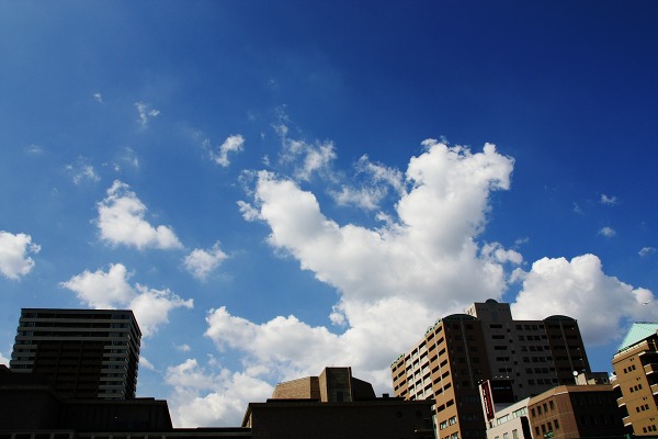 f0231904_22431048.jpg