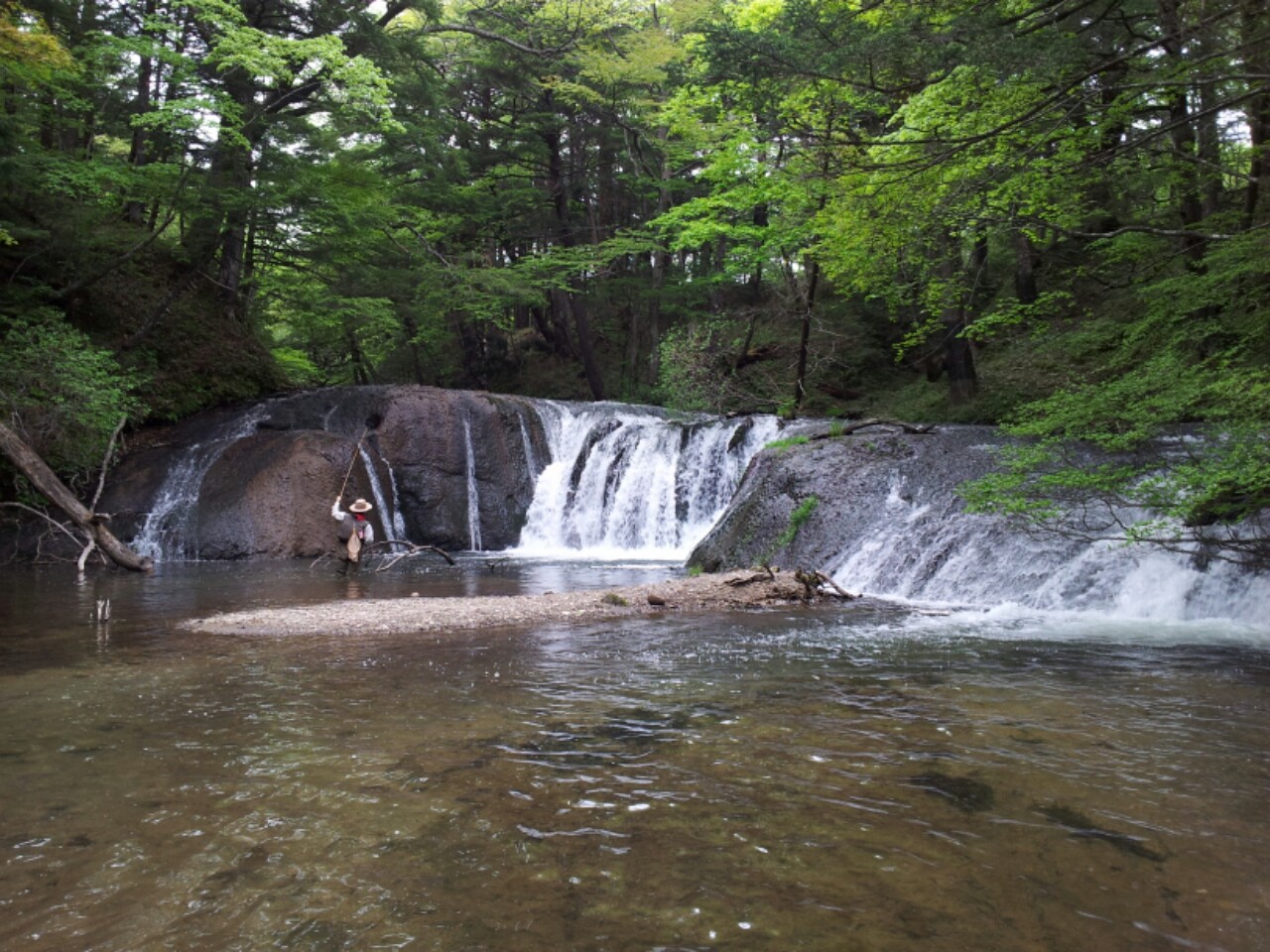 b0172805_2445798.jpg