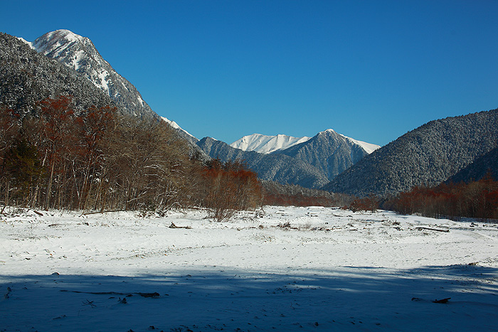 a0148606_1048559.jpg