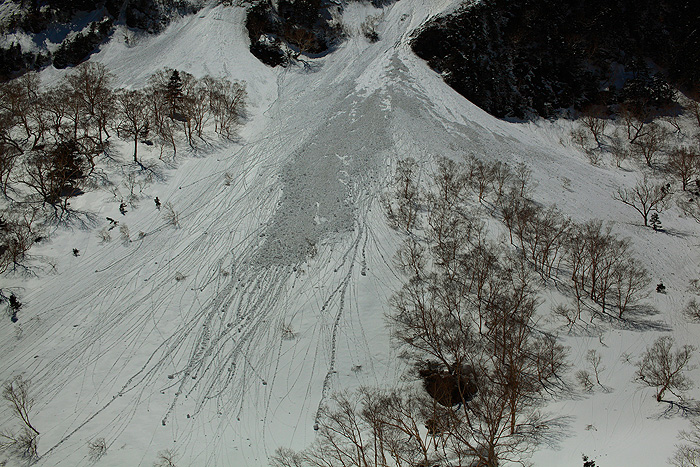 a0148606_1051462.jpg