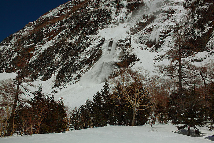a0148606_1052069.jpg