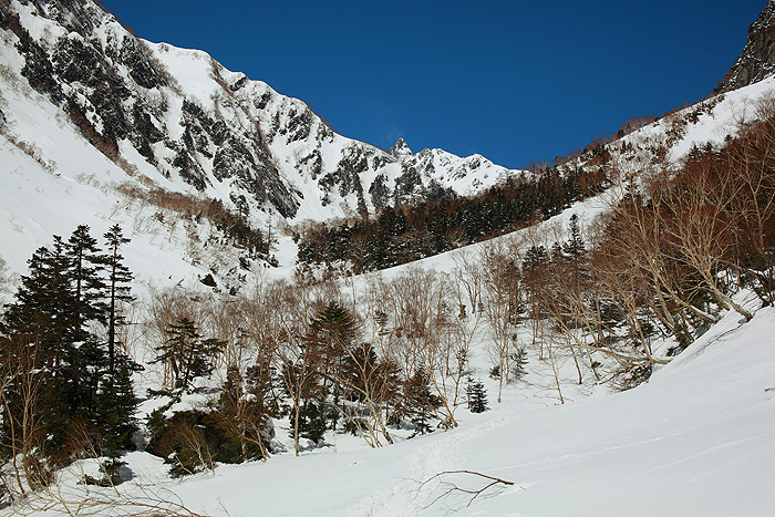 a0148606_1052811.jpg