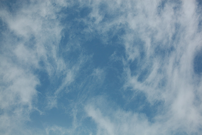 a0148606_1145434.jpg