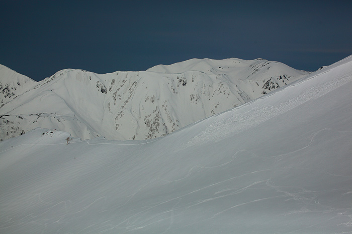 a0148606_11473014.jpg