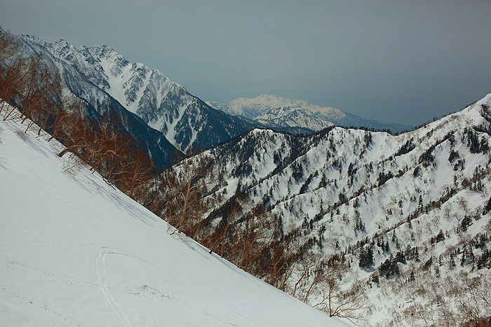 a0148606_11492535.jpg