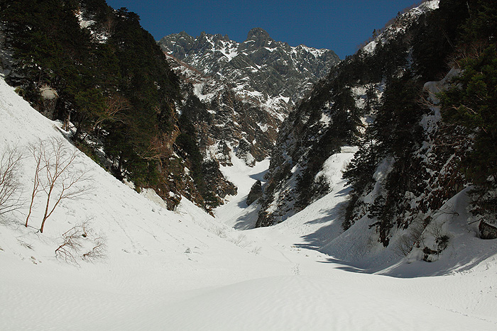 a0148606_11532065.jpg