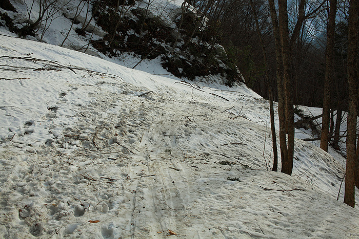 a0148606_11543698.jpg