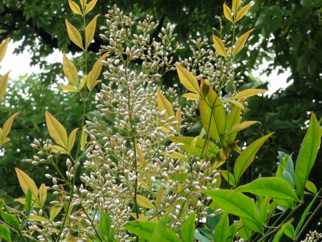 f0231709_2003856.jpg