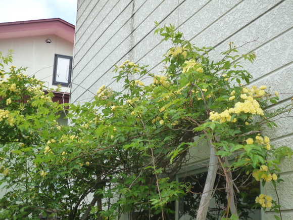 b0035611_19585957.jpg