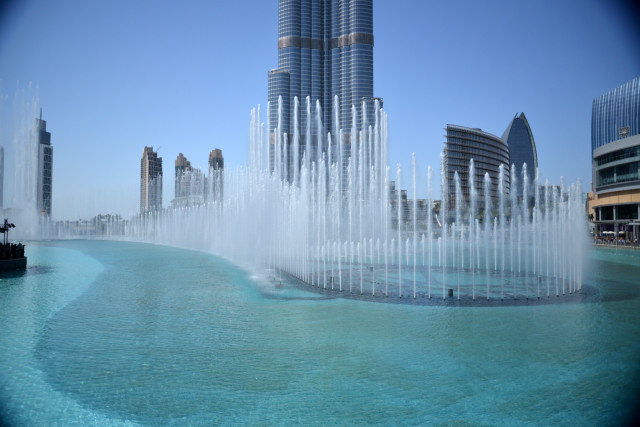 f0046614_22552661.jpg