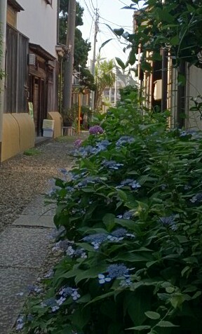 e0112619_230246.jpg