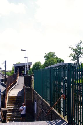 e0114020_3385856.jpg