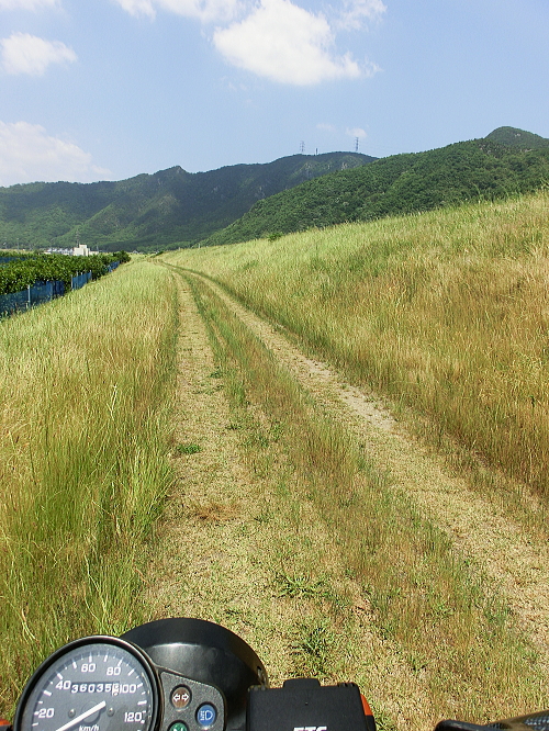 f0248120_2216720.jpg