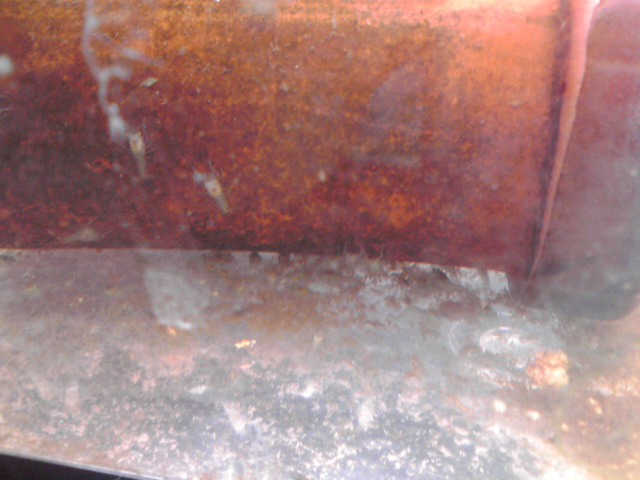 a0291521_1075545.jpg