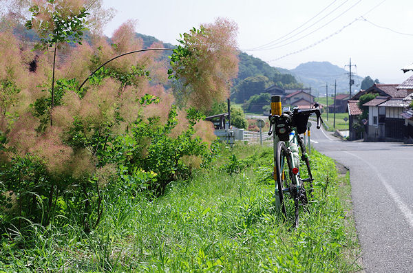 f0007926_1140598.jpg