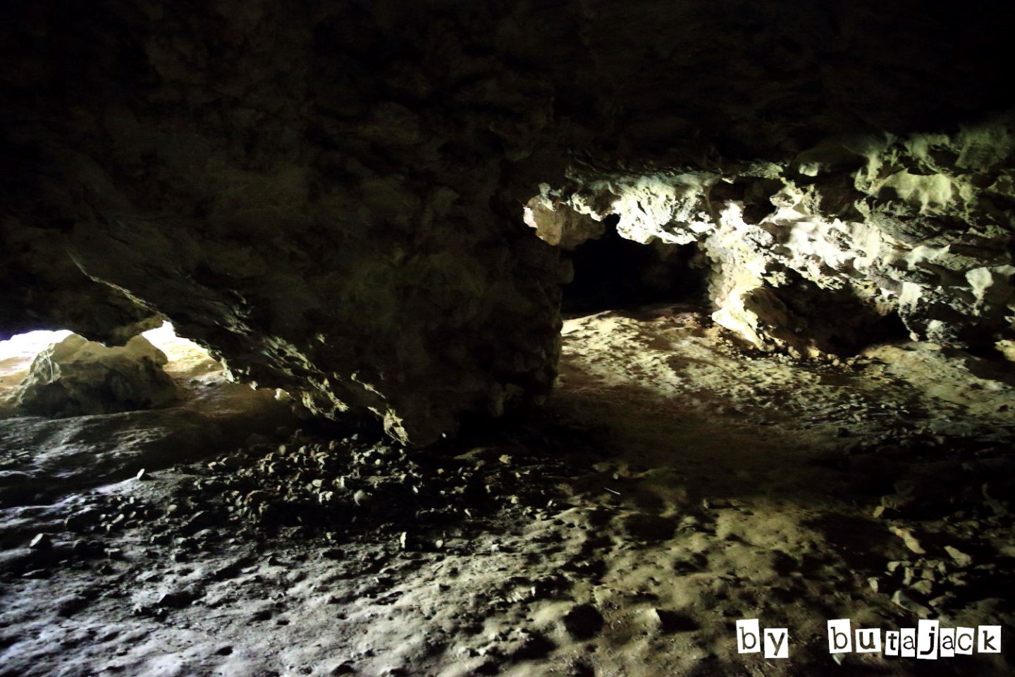e0220828_21221630.jpg