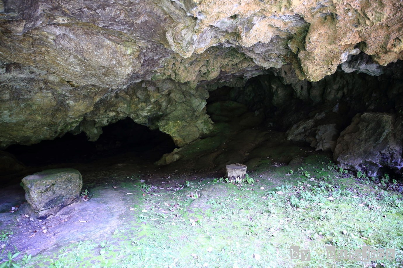 e0220828_21223689.jpg