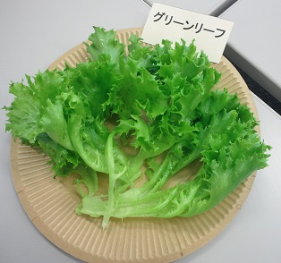b0143531_13291129.jpg