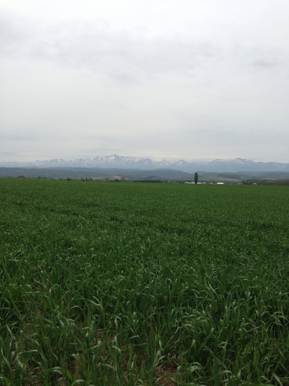 b0170134_14442860.jpg