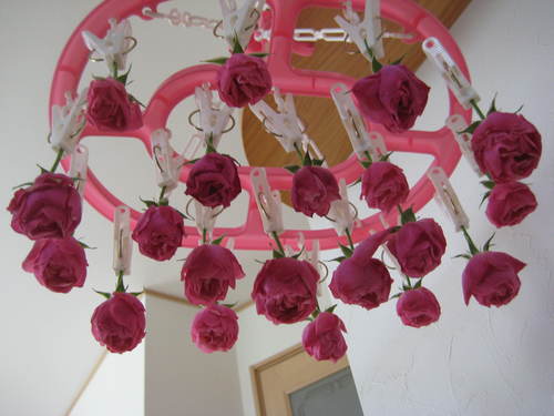 f0061334_22132753.jpg