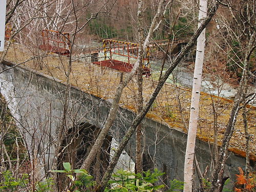 e0022839_0193943.jpg
