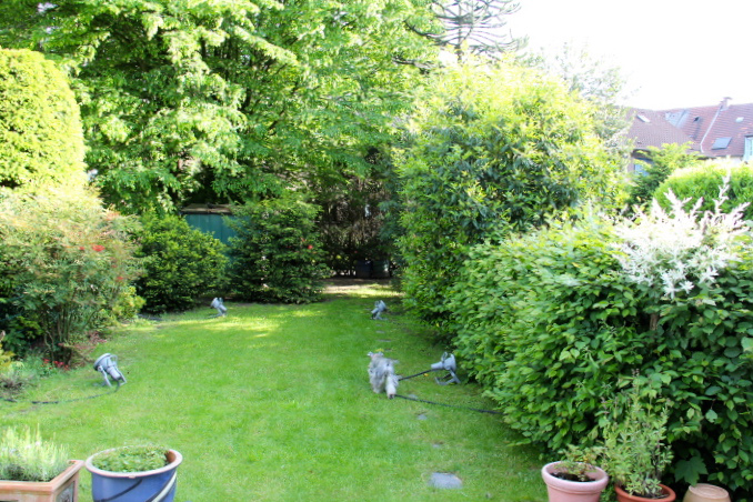 c0153740_17571387.jpg