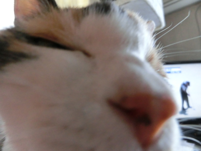 c0194042_16445463.jpg