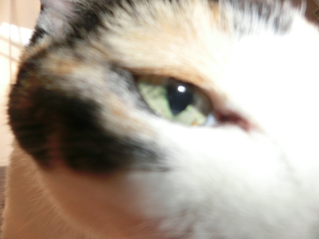 c0194042_16472619.jpg