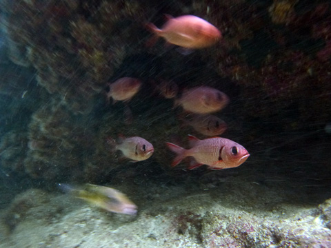 f0014842_1741253.jpg