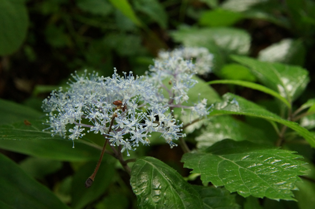f0214649_15471763.jpg