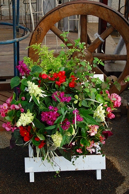 e0025655_51647.jpg