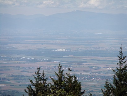 f0055956_8542091.jpg