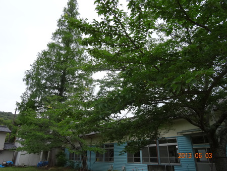 c0108460_21313019.jpg